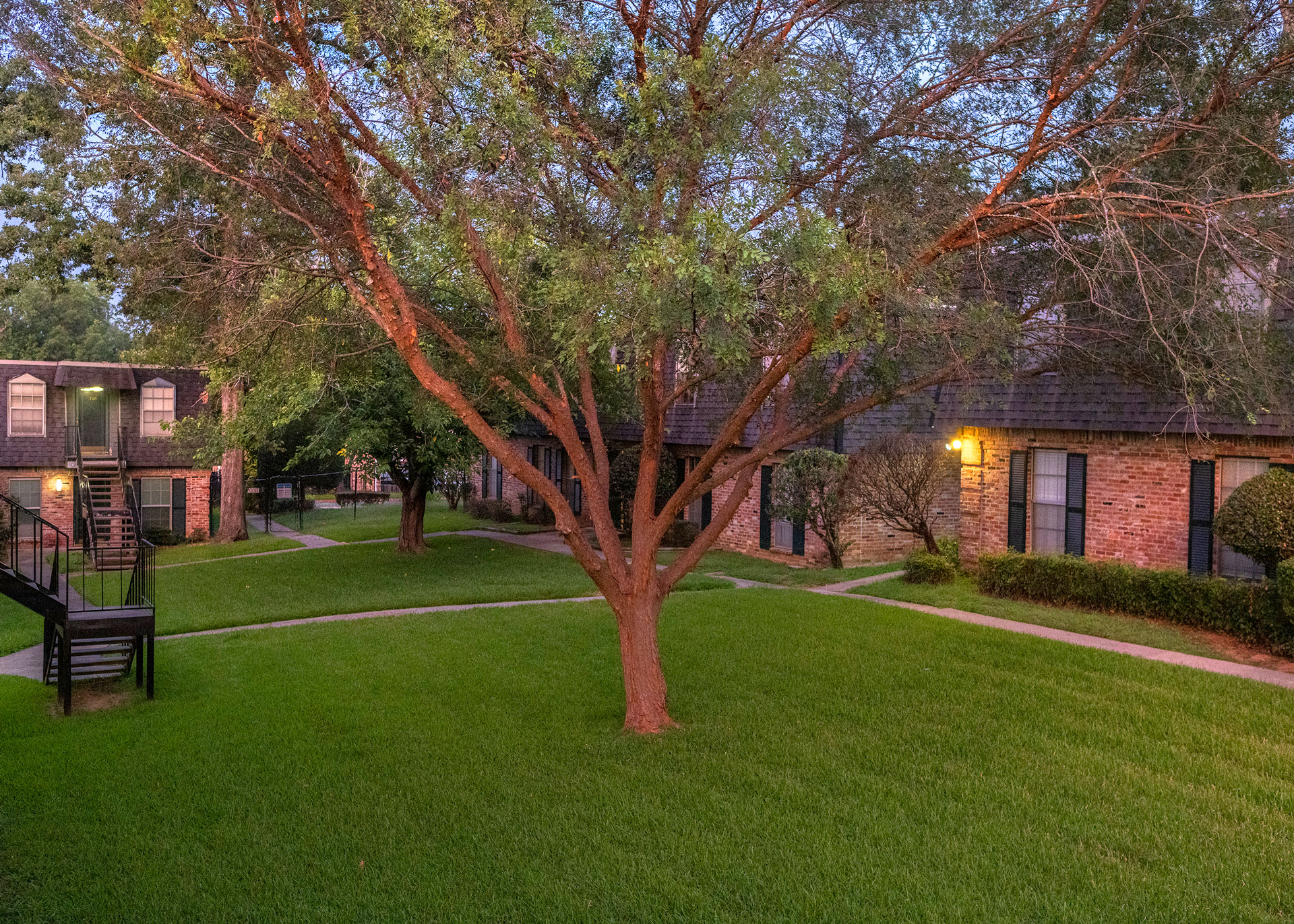Tree and green courtyard at Fairfield Oaks